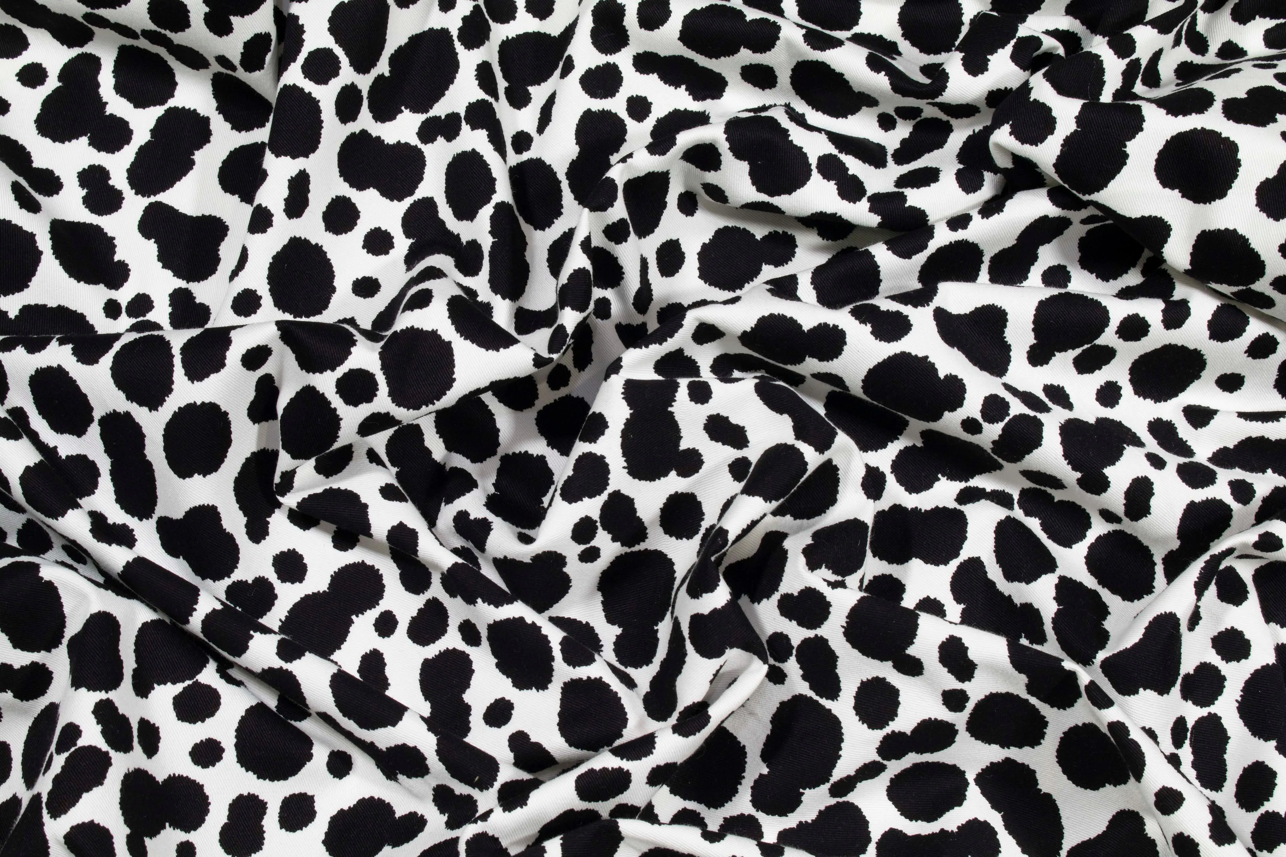 Black and White Cow Print Cotton