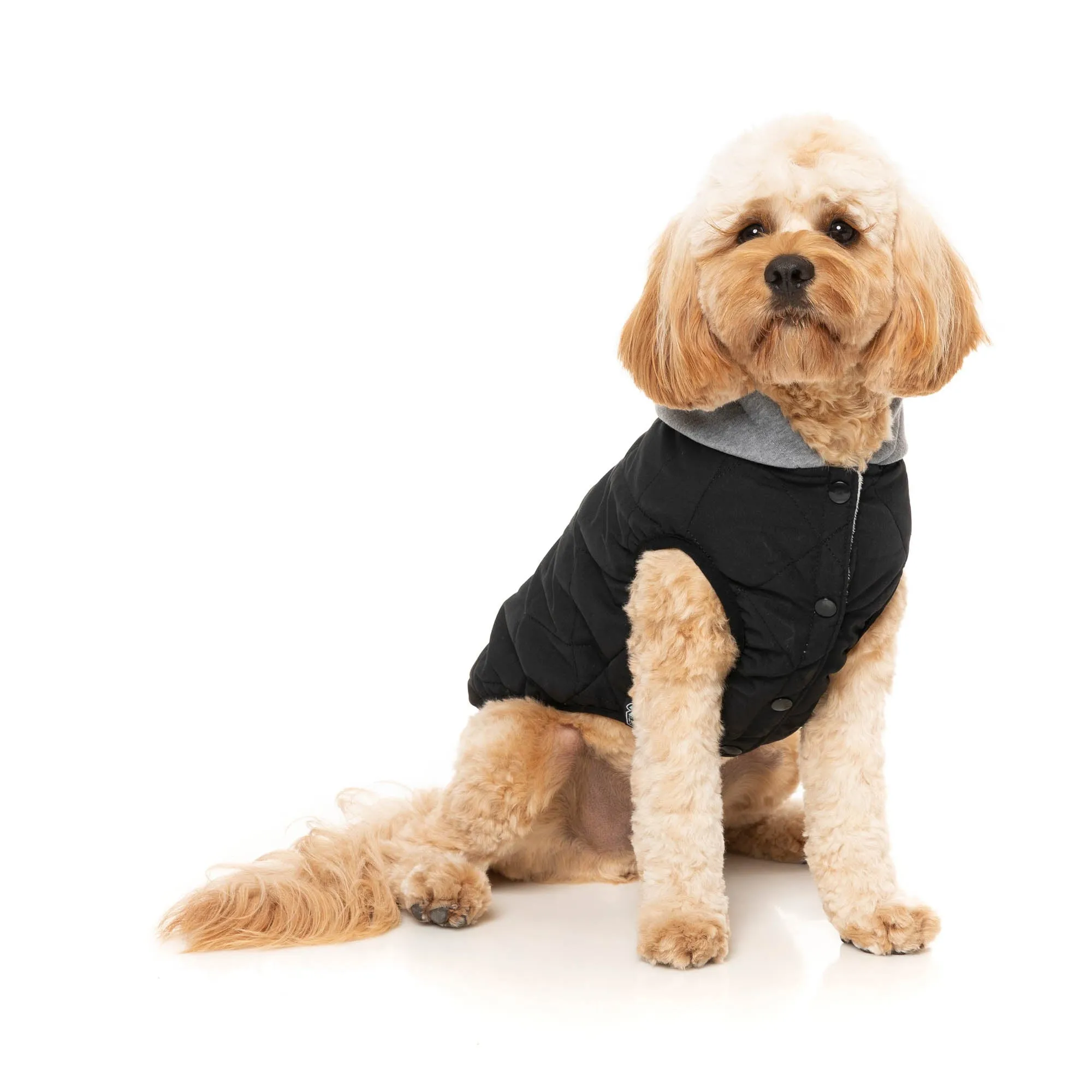 FuzzYard Dog Apparel Cremorne Hoodie Black Size 1 XXSmall***