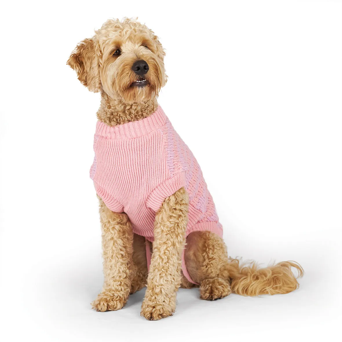 Kazoo Apparel Posy Dog Jumper Large ***