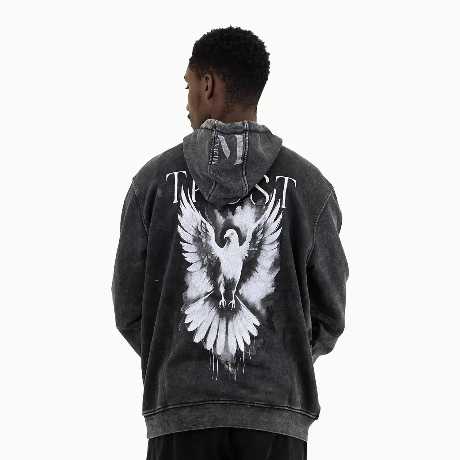 Men's Washed Pigeon Graphic Pull Over Hoodie